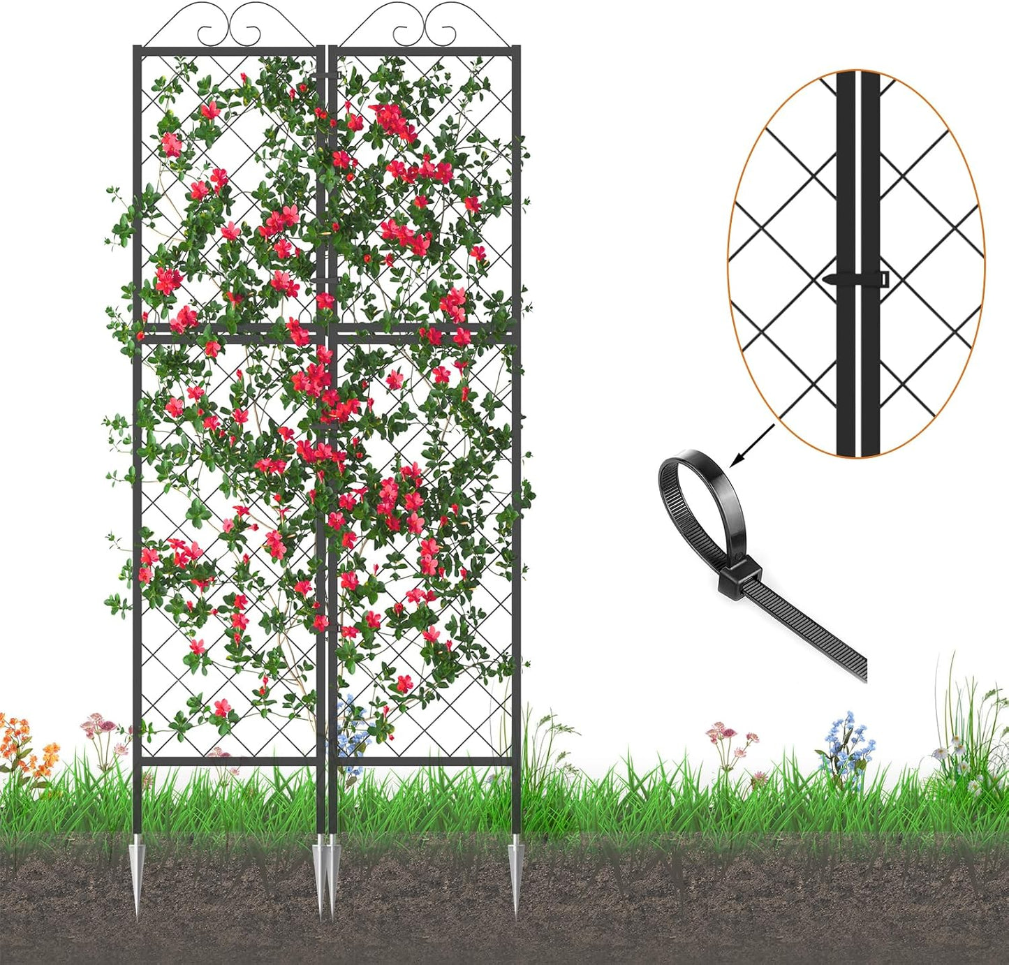 2 Pack Metal Garden Trellises for Climbing Plants, 53.5 Inch Tall Metal Fence Plant Support Trellis for Flower and Vagetable