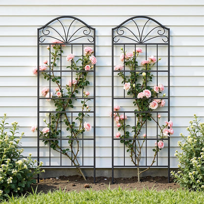 Metal Trellis for Climbing Plants Outdoor, 60 * 19.7 Inch Tall Garden Trellis with Black Rustproof Coating, Decorative Rose Trellis for Climbing Roses, Vines, and Flowers, 2 Pack