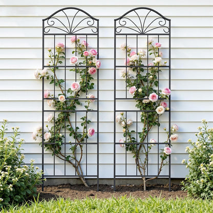 Metal Trellis for Climbing Plants Outdoor, 60 * 19.7 Inch Tall Garden Trellis with Black Rustproof Coating, Decorative Rose Trellis for Climbing Roses, Vines, and Flowers, 2 Pack