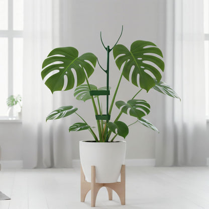 Plant Stakes for Indoor Plants, 5 Packs Stackable Monstera Plant Support, Plant Sticks Support Tall, Perfect Replacement for Plant Stakes, Garden Accessories