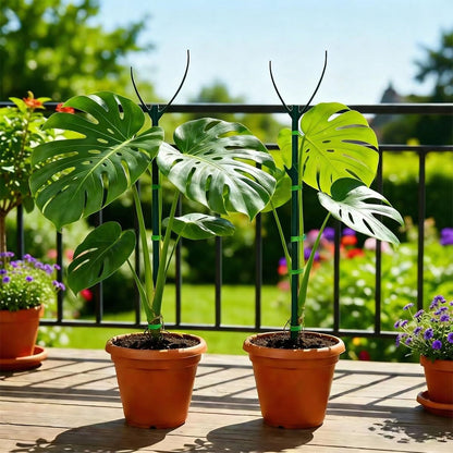 Plant Stakes for Indoor Plants, 5 Packs Stackable Monstera Plant Support, Plant Sticks Support Tall, Perfect Replacement for Plant Stakes, Garden Accessories