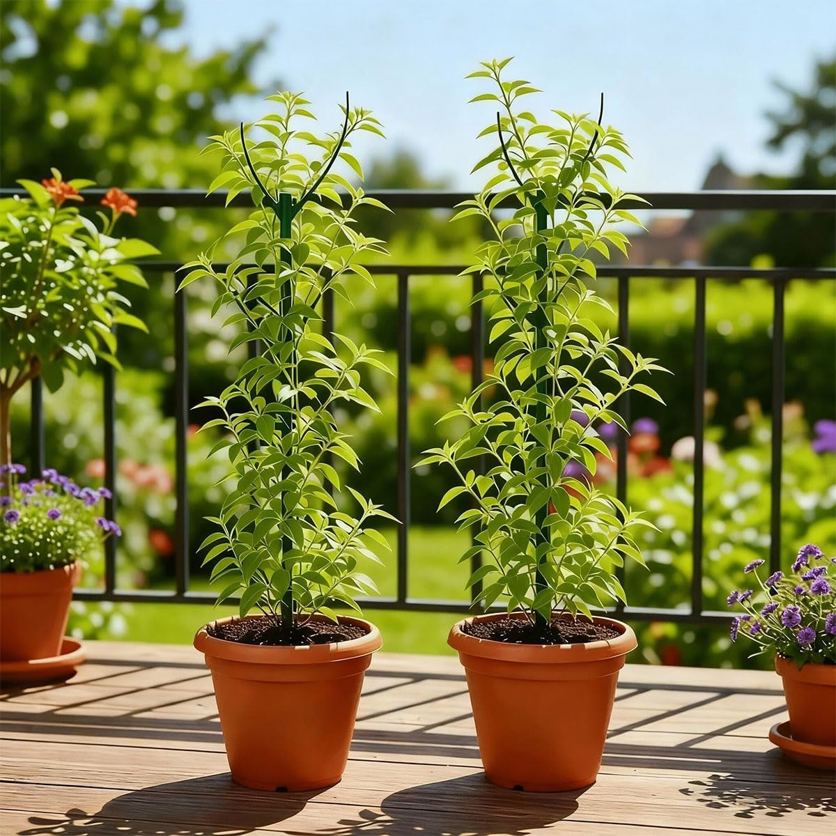 Plant Stakes for Indoor Plants, 5 Packs Stackable Monstera Plant Support, Plant Sticks Support Tall, Perfect Replacement for Plant Stakes, Garden Accessories