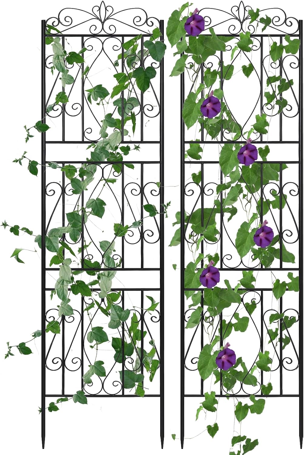 2 Pack 84x19in Garden Trellis Iron Arch for Climbing Plants Outdoor