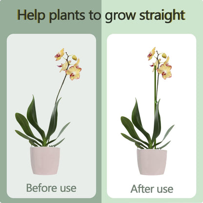 20Pcs Plant Stakes, 16IN Orchid Support Stakes for Indoor Plants