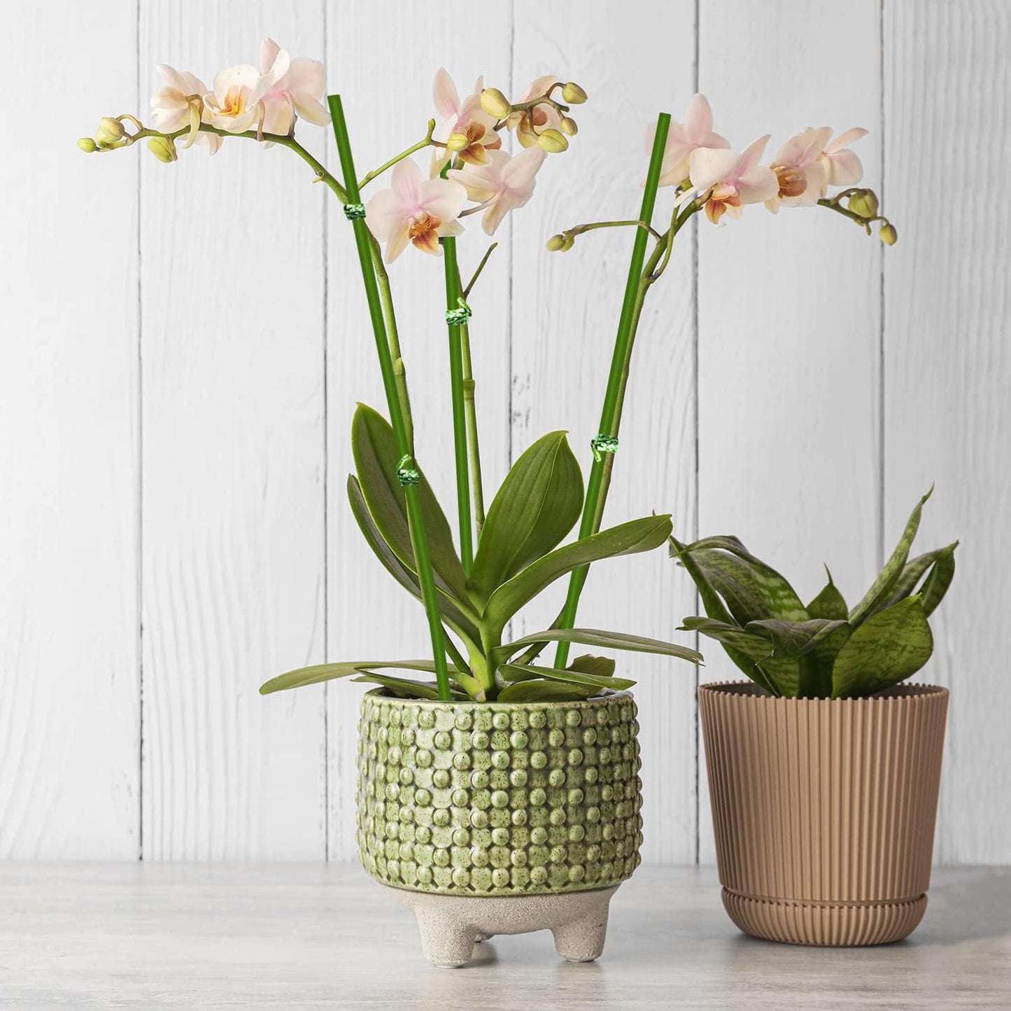 20Pcs Plant Stakes, 16IN Orchid Support Stakes for Indoor Plants