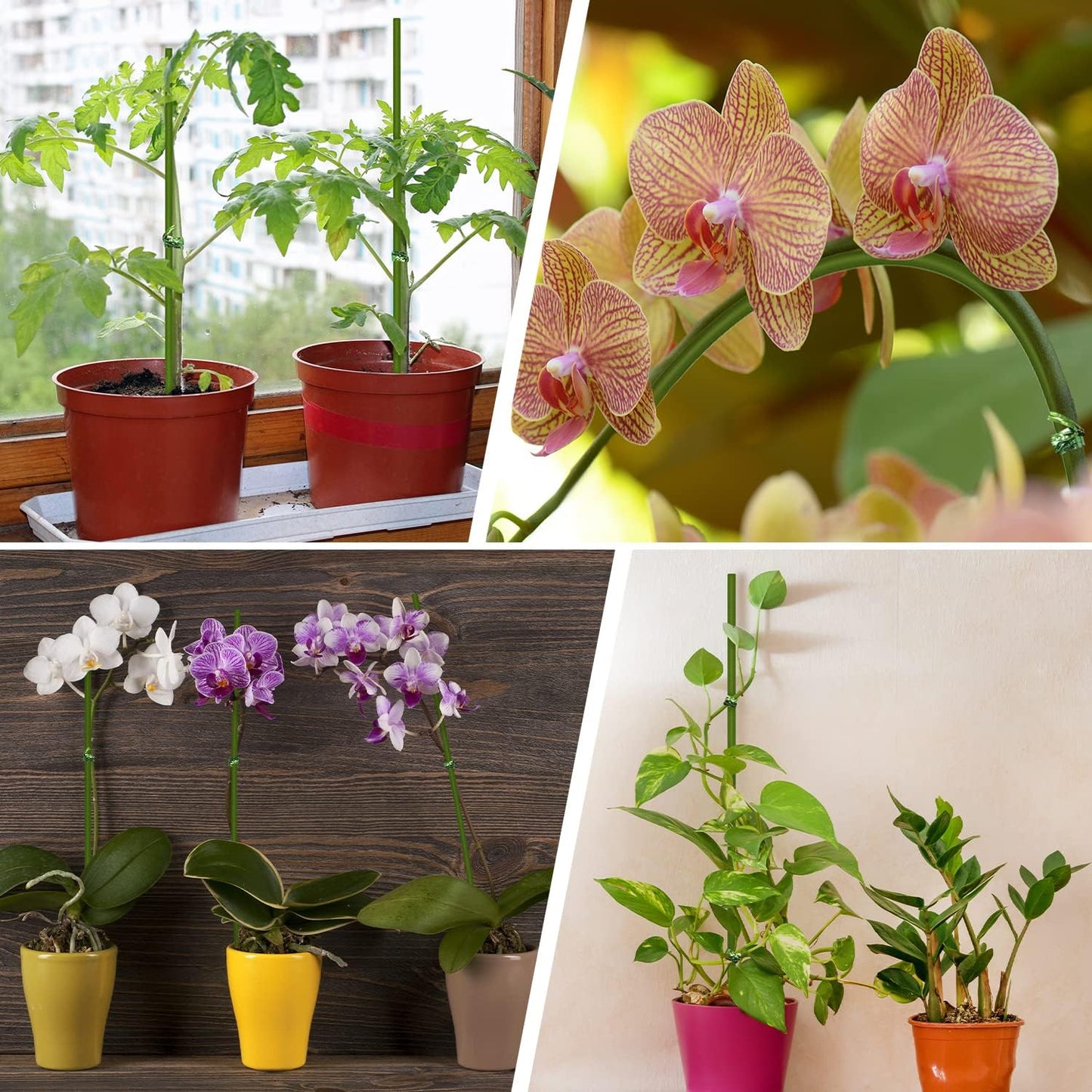 20Pcs Plant Stakes, 16IN Orchid Support Stakes for Indoor Plants