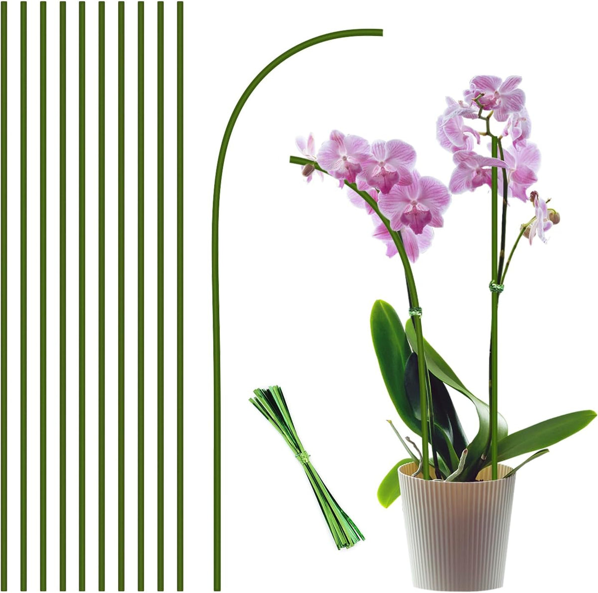 20Pcs Plant Stakes, 16IN Orchid Support Stakes for Indoor Plants