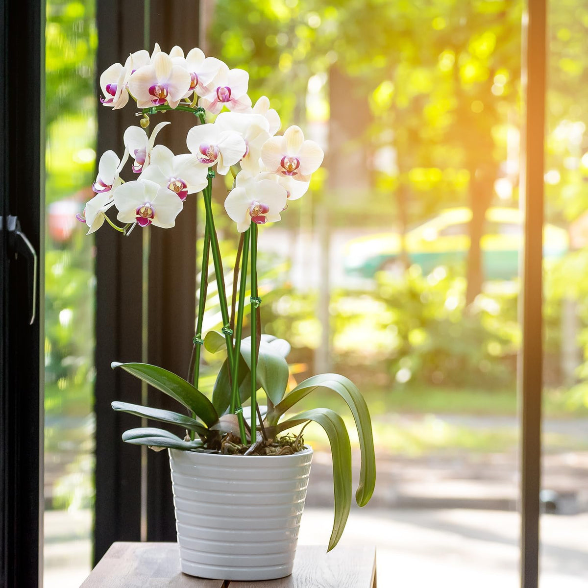 20Pcs Plant Stakes, 16IN Orchid Support Stakes for Indoor Plants