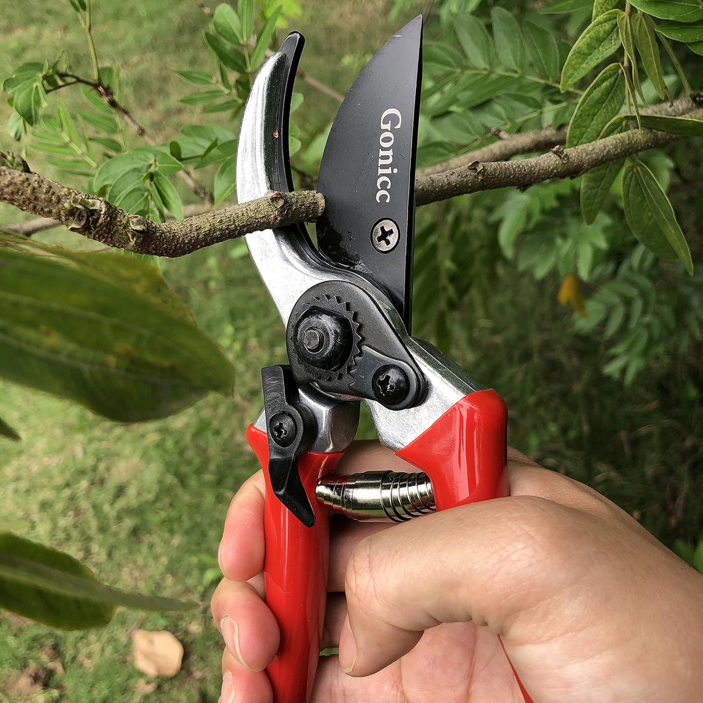 8" Professional Sharp Bypass Pruning Shears (GPPS-1002)