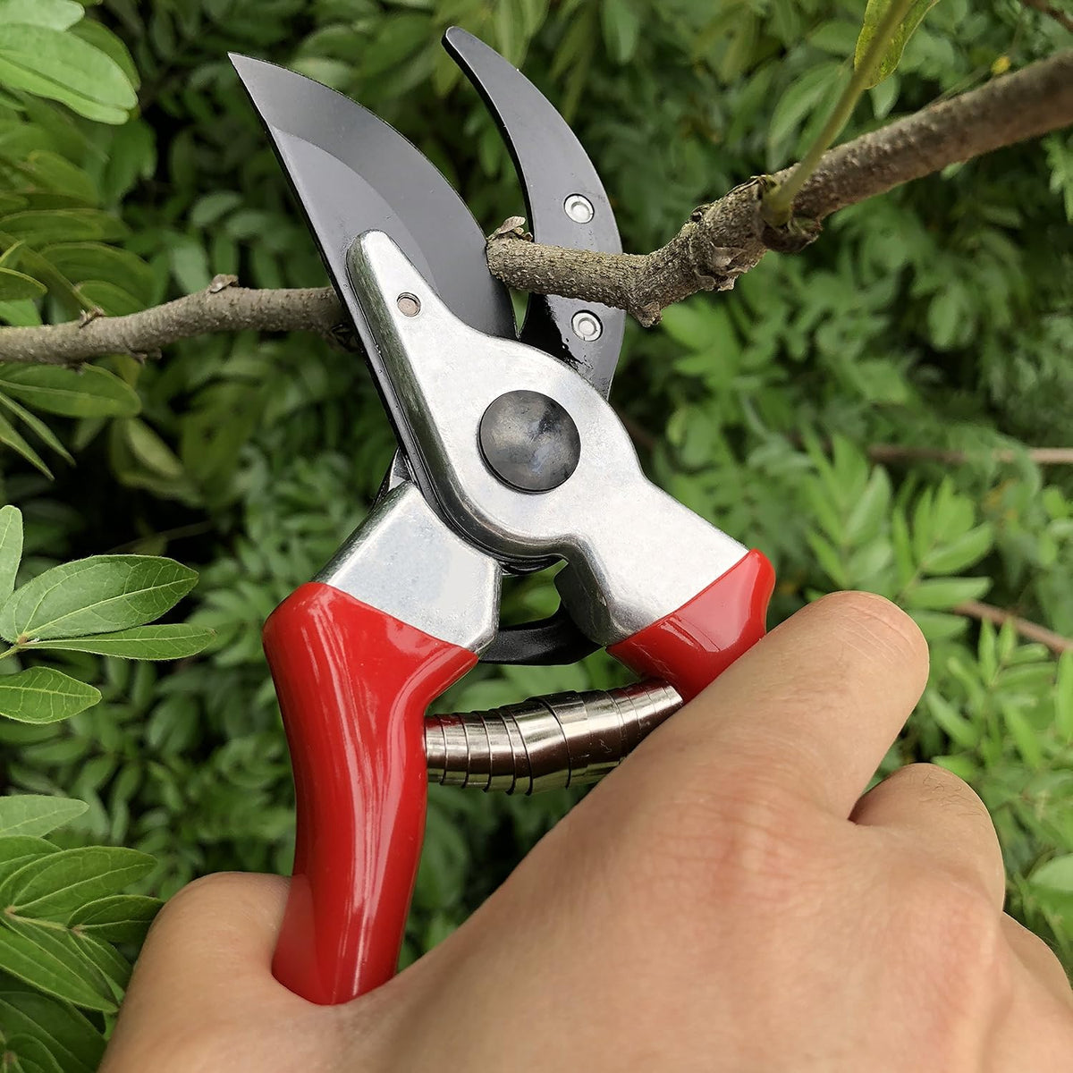 8" Professional Sharp Bypass Pruning Shears (GPPS-1002)