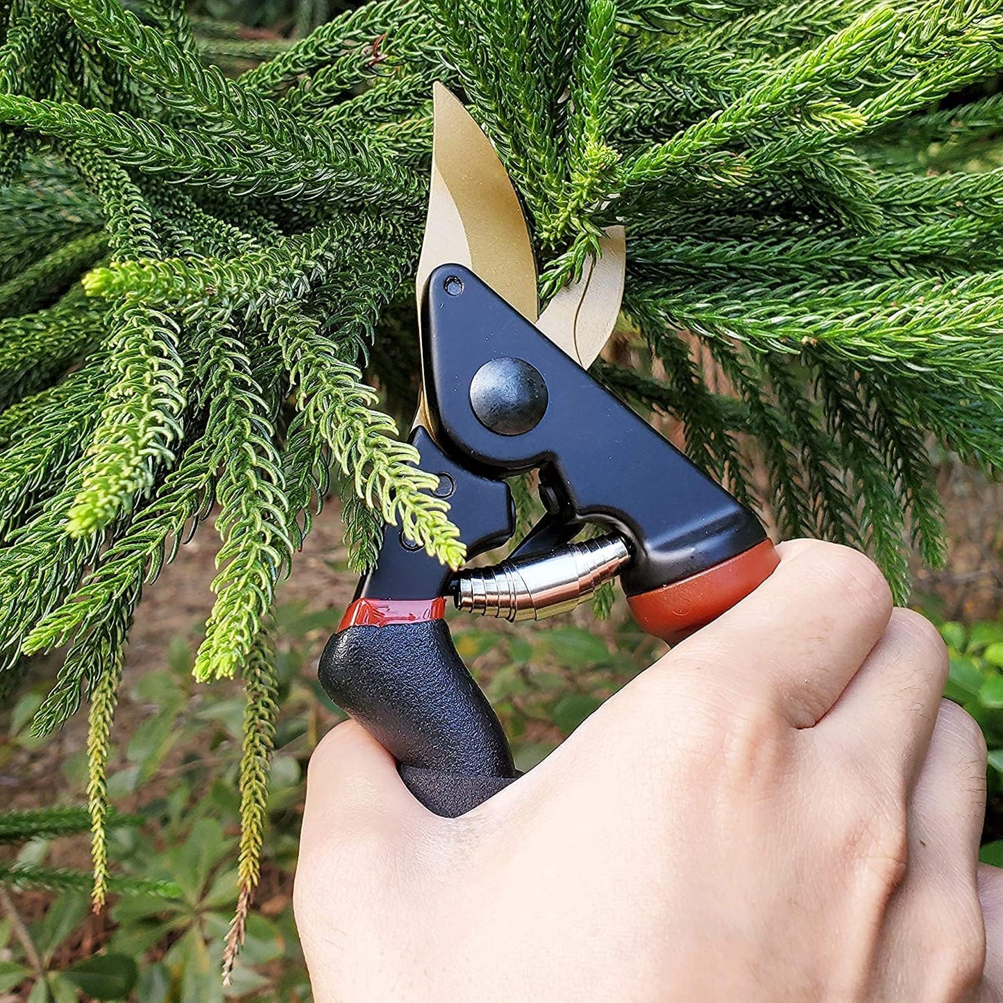 8" Professional Sharp Bypass Pruning Shears (GPPS-1002)