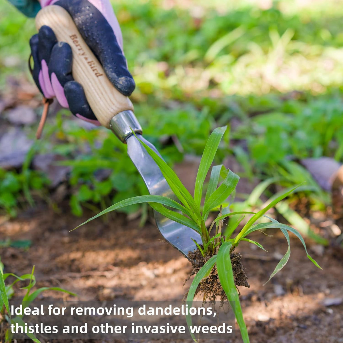 Hand Weeder Tool, 12.1" Stainless Steel Gardening Weed Puller