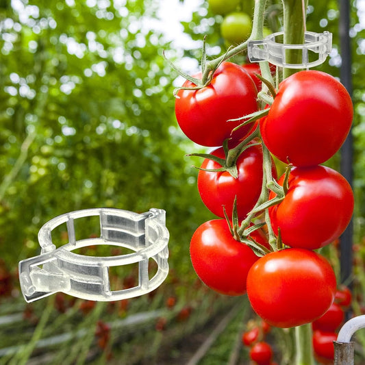 ® 300Pcs Tomato Clips, Plastic Trellis Clips Plant Support Clips, Plant Clips for Support, Grape Vine, Tomato Vine, Vegetables Plants, Garden Clips to Grow Upright Makes Plants Healthier