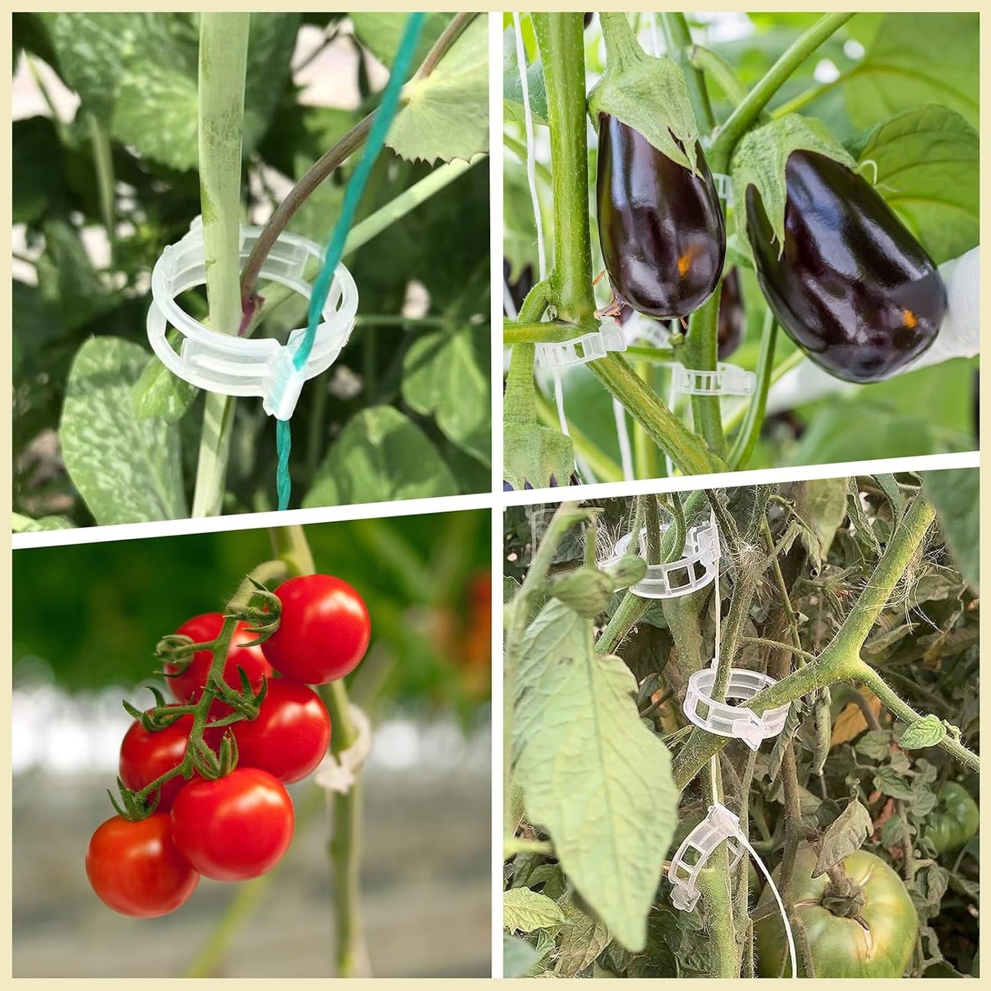 ® 300Pcs Tomato Clips, Plastic Trellis Clips Plant Support Clips, Plant Clips for Support, Grape Vine, Tomato Vine, Vegetables Plants, Garden Clips to Grow Upright Makes Plants Healthier