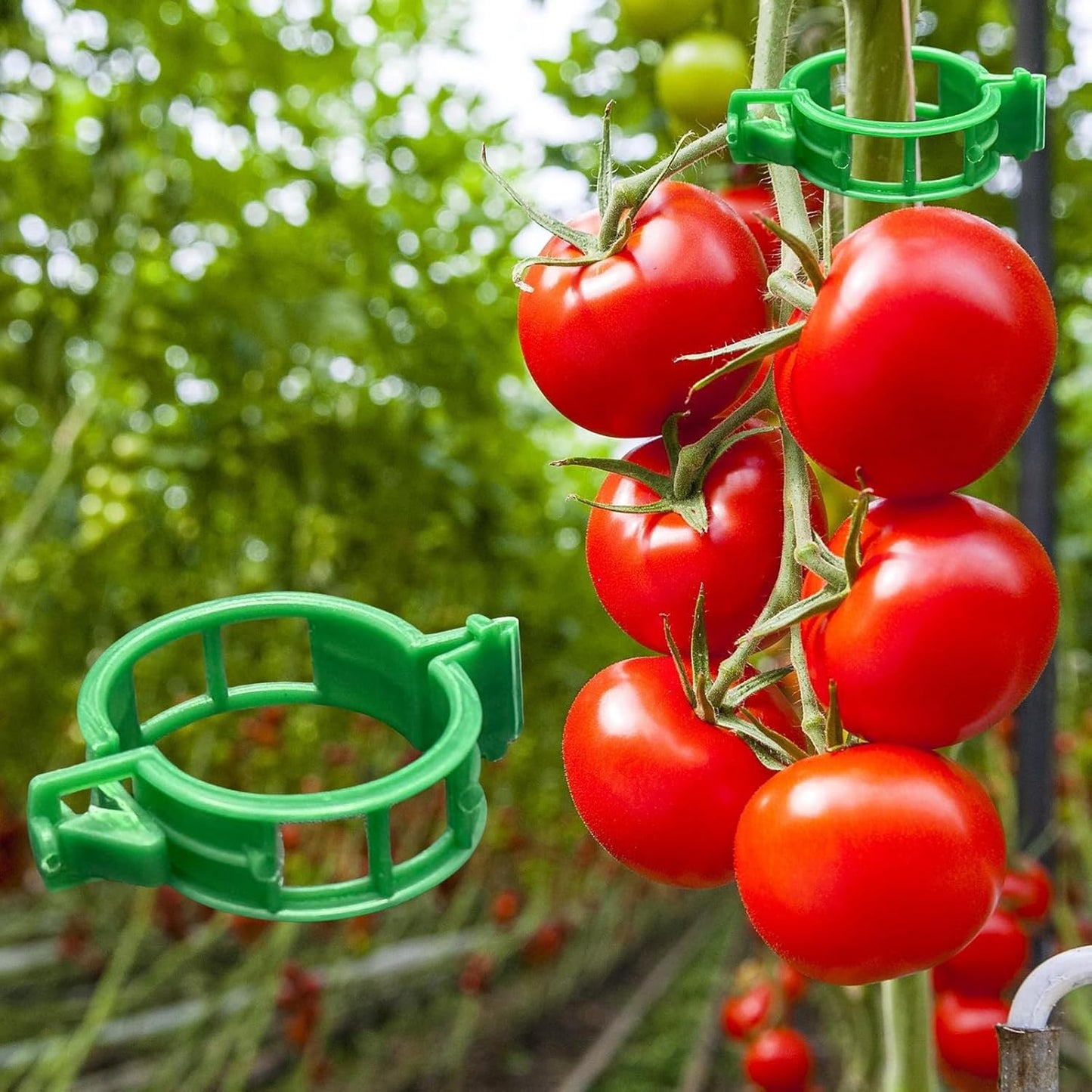 ® 300Pcs Tomato Clips, Plastic Trellis Clips Plant Support Clips, Plant Clips for Support, Grape Vine, Tomato Vine, Vegetables Plants, Garden Clips to Grow Upright Makes Plants Healthier