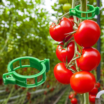 ® 300Pcs Tomato Clips, Plastic Trellis Clips Plant Support Clips, Plant Clips for Support, Grape Vine, Tomato Vine, Vegetables Plants, Garden Clips to Grow Upright Makes Plants Healthier