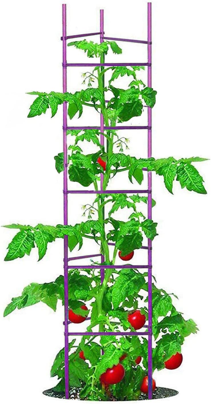 Large Tomato Cage 6 Pack Upto 73 inch Tall Tomato Trellis Garden Stakes Plant Support,Purple(5ft Stake add 18 inch Adjustable Stakes)