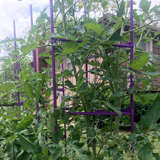 Large Tomato Cage 6 Pack Upto 73 inch Tall Tomato Trellis Garden Stakes Plant Support,Purple(5ft Stake add 18 inch Adjustable Stakes)