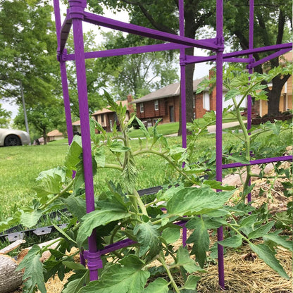 Large Tomato Cage 6 Pack Upto 73 inch Tall Tomato Trellis Garden Stakes Plant Support,Purple(5ft Stake add 18 inch Adjustable Stakes)