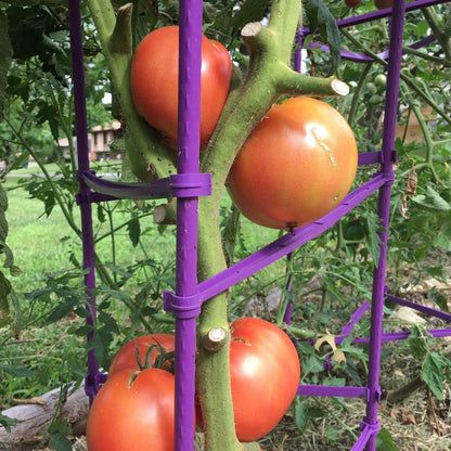 Large Tomato Cage 6 Pack Upto 73 inch Tall Tomato Trellis Garden Stakes Plant Support,Purple(5ft Stake add 18 inch Adjustable Stakes)