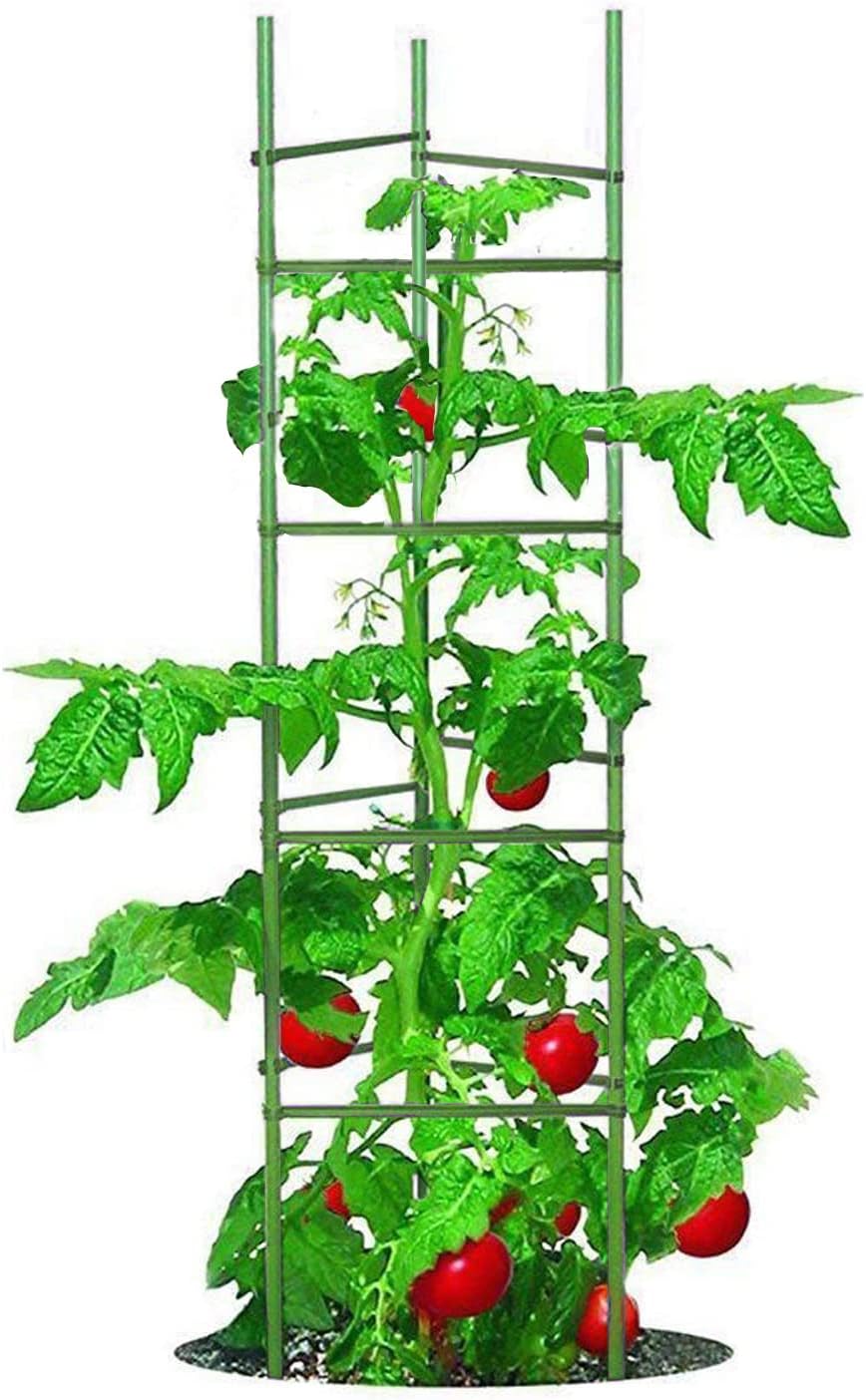 Large Tomato Cage 6 Pack Upto 73 inch Tall Tomato Trellis Garden Stakes Plant Support,Purple(5ft Stake add 18 inch Adjustable Stakes)