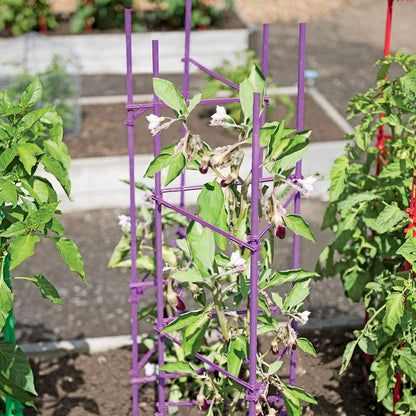 Large Tomato Cage 6 Pack Upto 73 inch Tall Tomato Trellis Garden Stakes Plant Support,Purple(5ft Stake add 18 inch Adjustable Stakes)