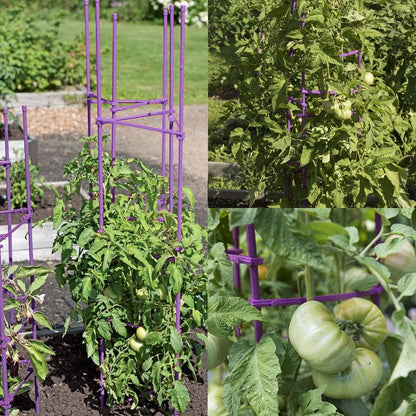 Large Tomato Cage 6 Pack Upto 73 inch Tall Tomato Trellis Garden Stakes Plant Support,Purple(5ft Stake add 18 inch Adjustable Stakes)