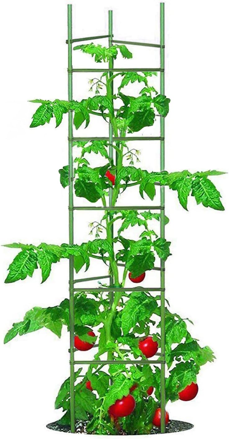 Large Tomato Cage 6 Pack Upto 73 inch Tall Tomato Trellis Garden Stakes Plant Support,Purple(5ft Stake add 18 inch Adjustable Stakes)