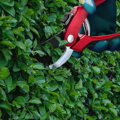8" Green Bypass Pruning Shears Heavy Duty Pruning Scissors