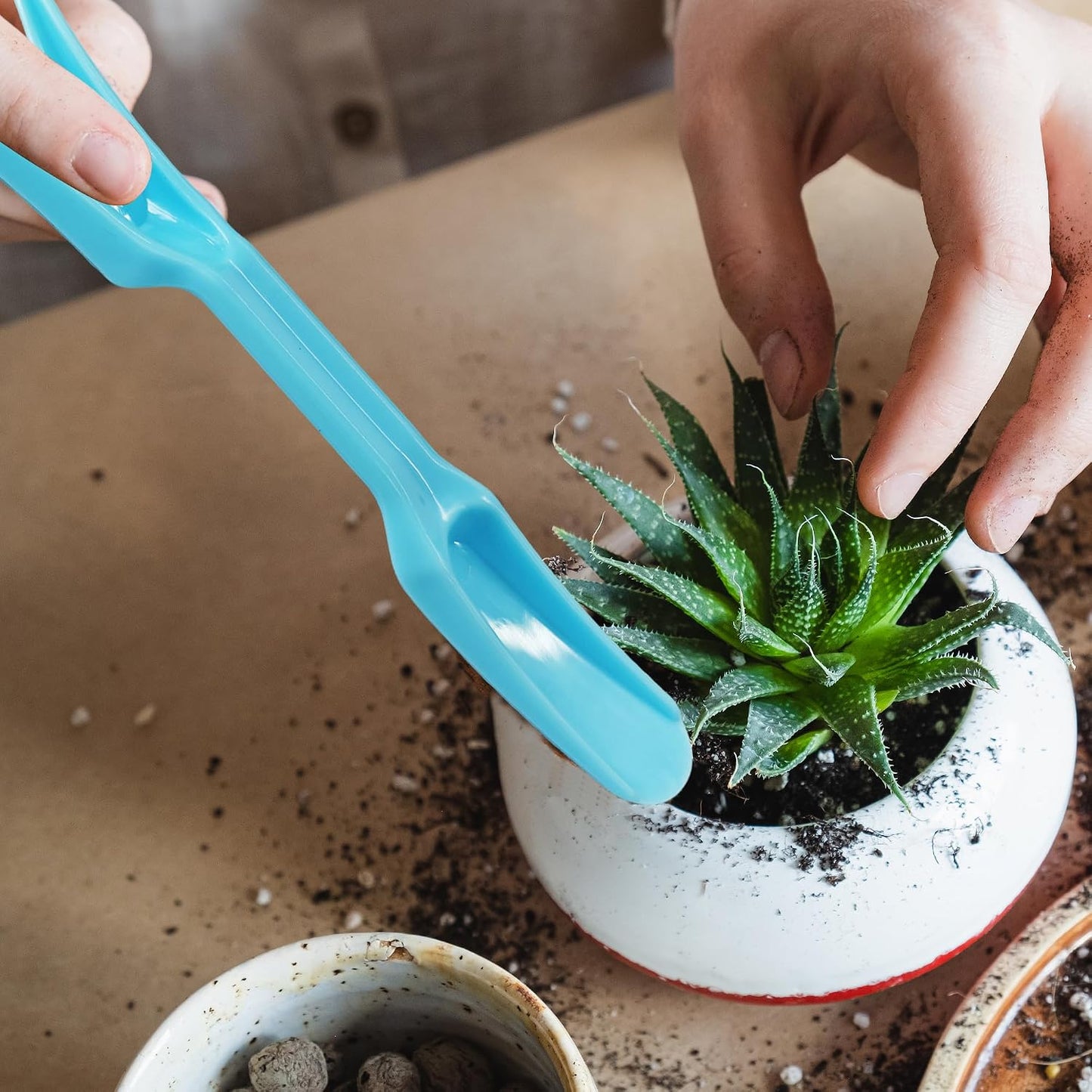 6PCS Mini Garden Hand Succulent Transplanting Tools Set, Plastic Seedling Dibber and Digging Tools for Indoor Gardening, Home Plant Care, Repotting, Lawn Maintenance(Blue)