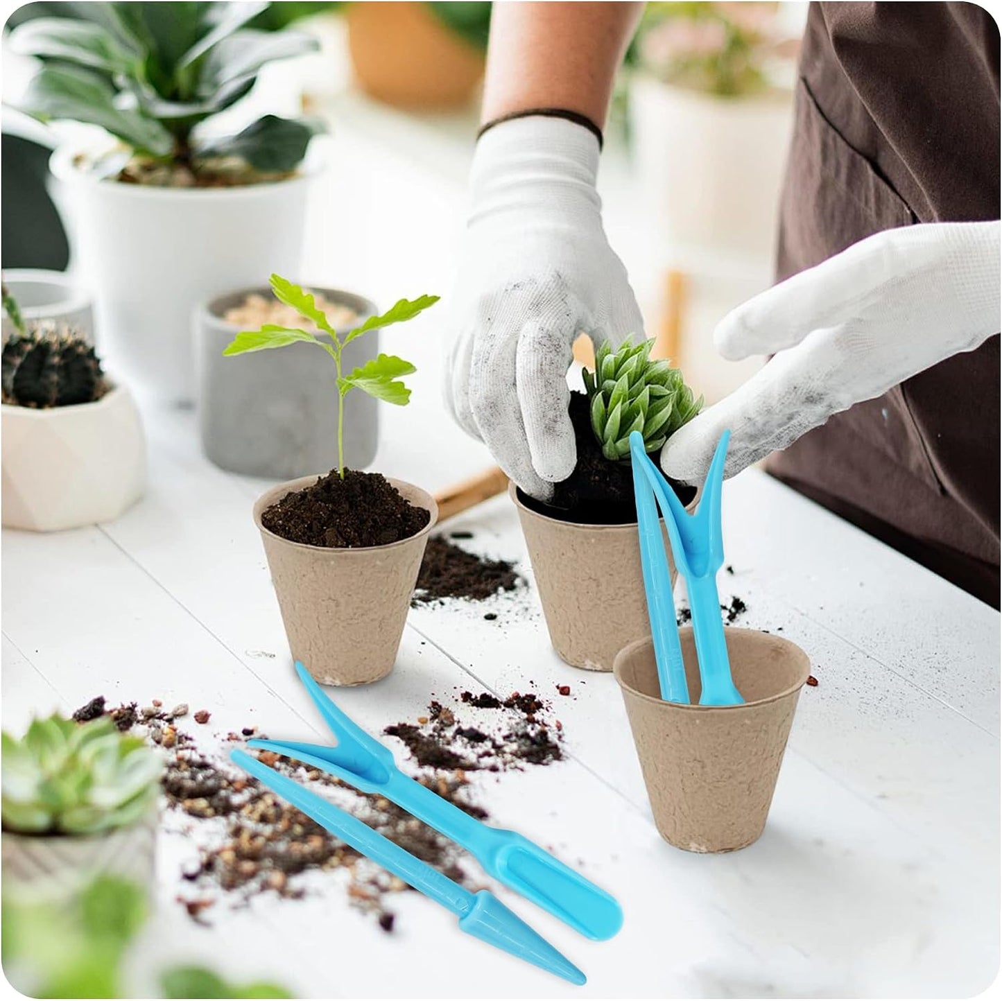 6PCS Mini Garden Hand Succulent Transplanting Tools Set, Plastic Seedling Dibber and Digging Tools for Indoor Gardening, Home Plant Care, Repotting, Lawn Maintenance(Blue)