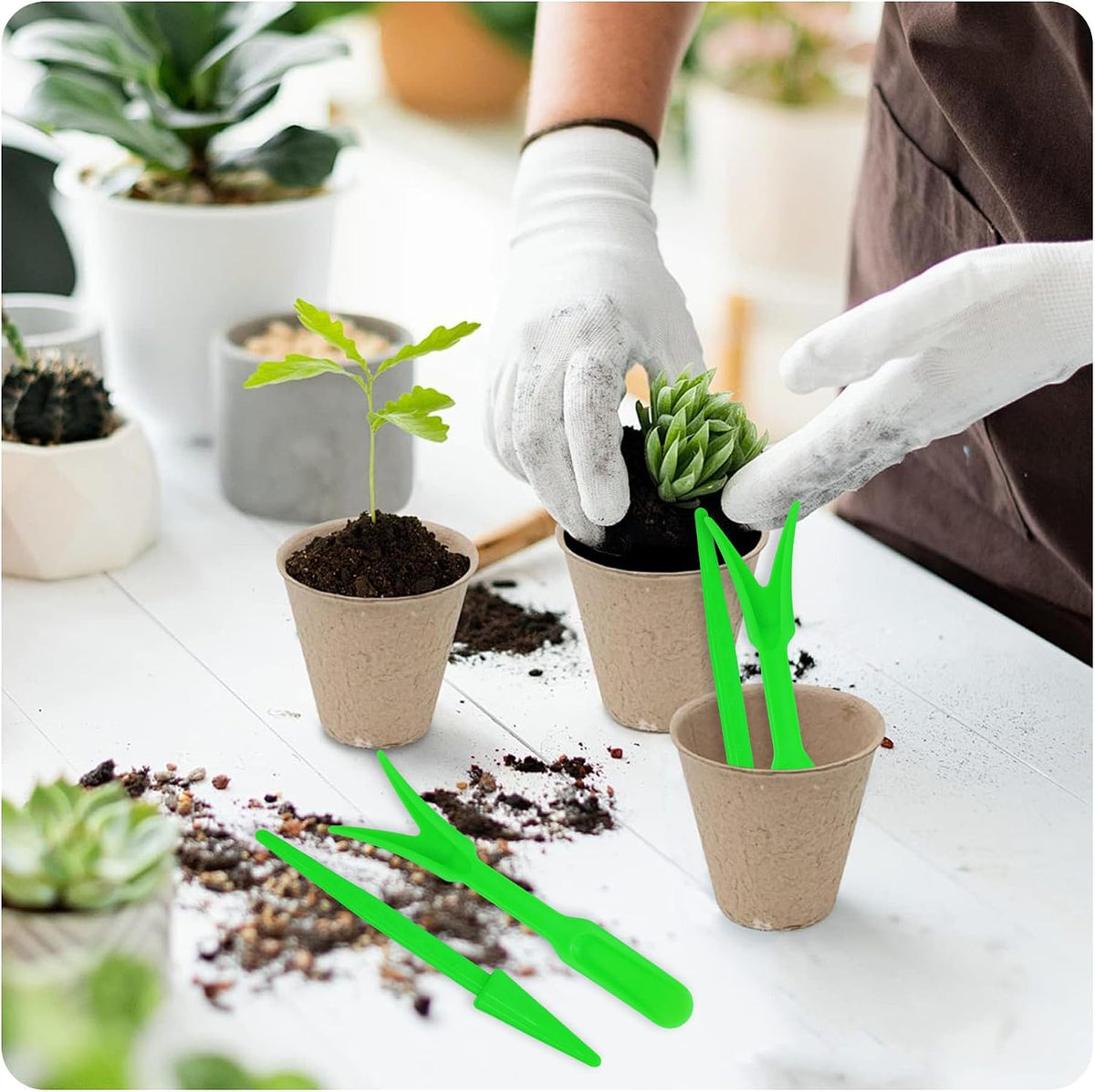 6PCS Mini Garden Hand Succulent Transplanting Tools Set, Plastic Seedling Dibber and Digging Tools for Indoor Gardening, Home Plant Care, Repotting, Lawn Maintenance(Blue)