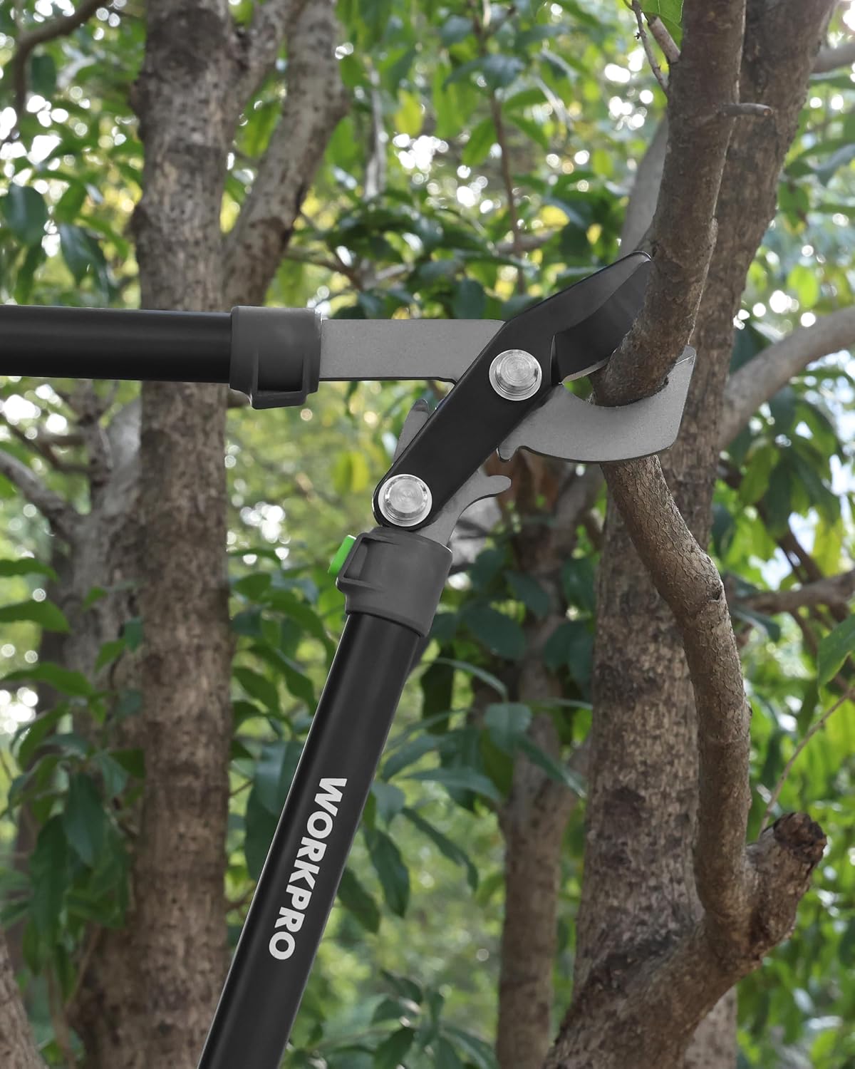 Extendable Bypass Lopper for Gardening, 25-37" Branch Cutter