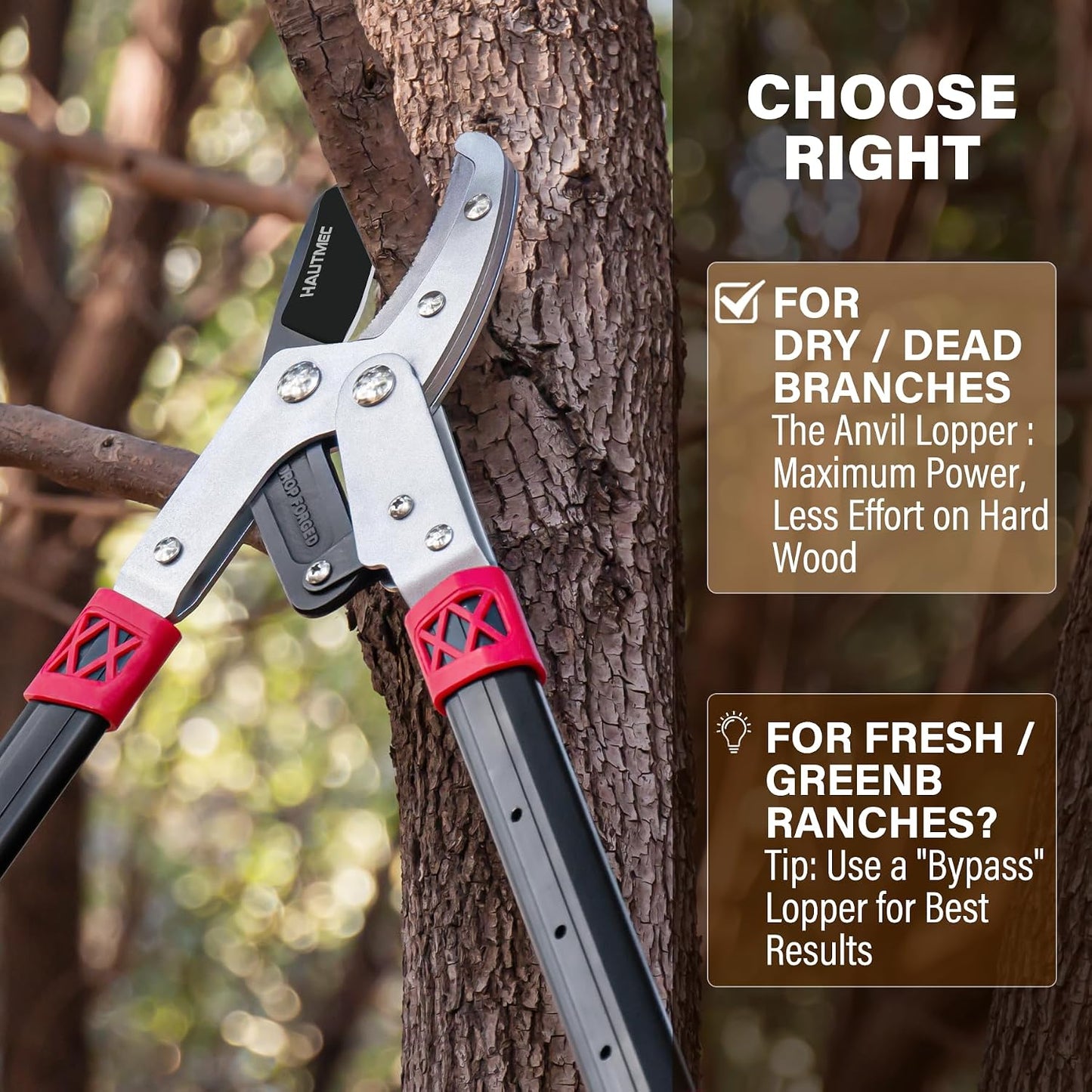 Anvil Loppers for Tree Trimming Heavy Duty, Extendable 27-37'' Garden Loppers with Compound Action System, 2" Cutting Capacity, Labor-Saving Tree Trimmer for Yard, Lawn Branch Cutter