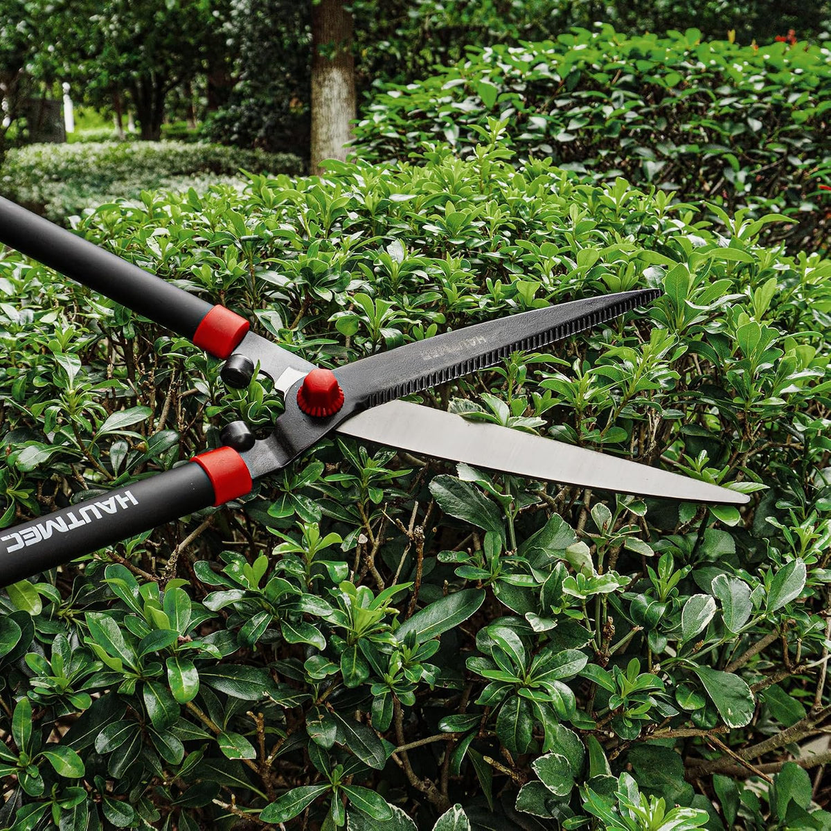 Anvil Loppers for Tree Trimming Heavy Duty, Extendable 27-37'' Garden Loppers with Compound Action System, 2" Cutting Capacity, Labor-Saving Tree Trimmer for Yard, Lawn Branch Cutter
