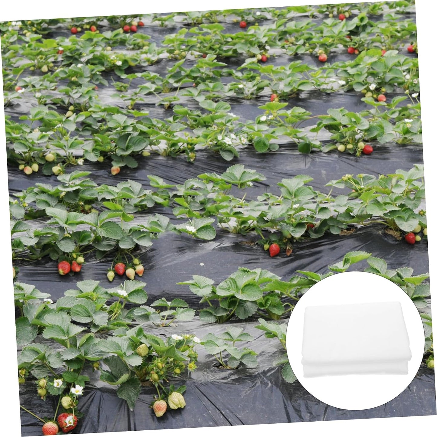 Non-Woven Frost Plant Cover Floating Row Cover for Against Freeze Frost for Vegetables and Shrubs Retention