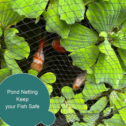 Bird Netting for Garden Protection, 13 x 40FT Anti Bird Mesh Garden Netting