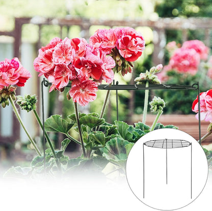 Round Peony Cages and Supports Grow Through Grid Plant Brace, Strawberry Planting Frame,Vine Pillar Metal Garden Stake Frame Flowers Support Rings Hoops for Rose, Tomato, Orchids (#1)