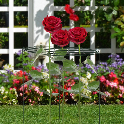 Round Peony Cages and Supports Grow Through Grid Plant Brace, Strawberry Planting Frame,Vine Pillar Metal Garden Stake Frame Flowers Support Rings Hoops for Rose, Tomato, Orchids (#1)