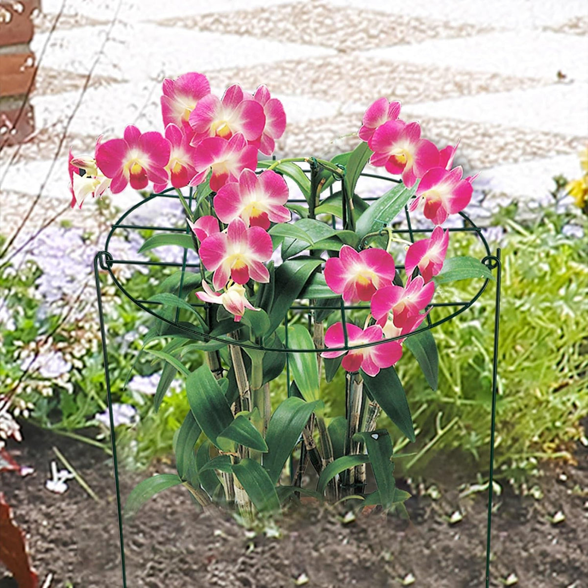 Round Peony Cages and Supports Grow Through Grid Plant Brace, Strawberry Planting Frame,Vine Pillar Metal Garden Stake Frame Flowers Support Rings Hoops for Rose, Tomato, Orchids (#1)