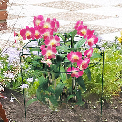 Round Peony Cages and Supports Grow Through Grid Plant Brace, Strawberry Planting Frame,Vine Pillar Metal Garden Stake Frame Flowers Support Rings Hoops for Rose, Tomato, Orchids (#1)