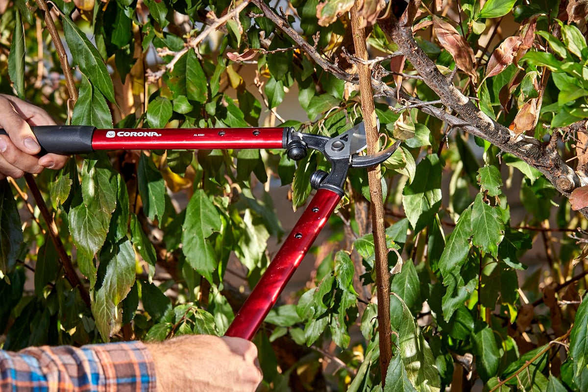 Corona AL 8321 High-Performance Vine Lopper, 19-Inch, Steel