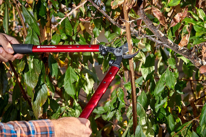 Corona AL 8321 High-Performance Vine Lopper, 19-Inch, Steel