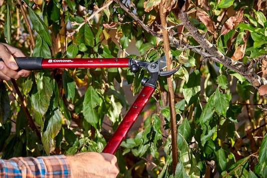 Corona AL 8321 High-Performance Vine Lopper, 19-Inch, Steel