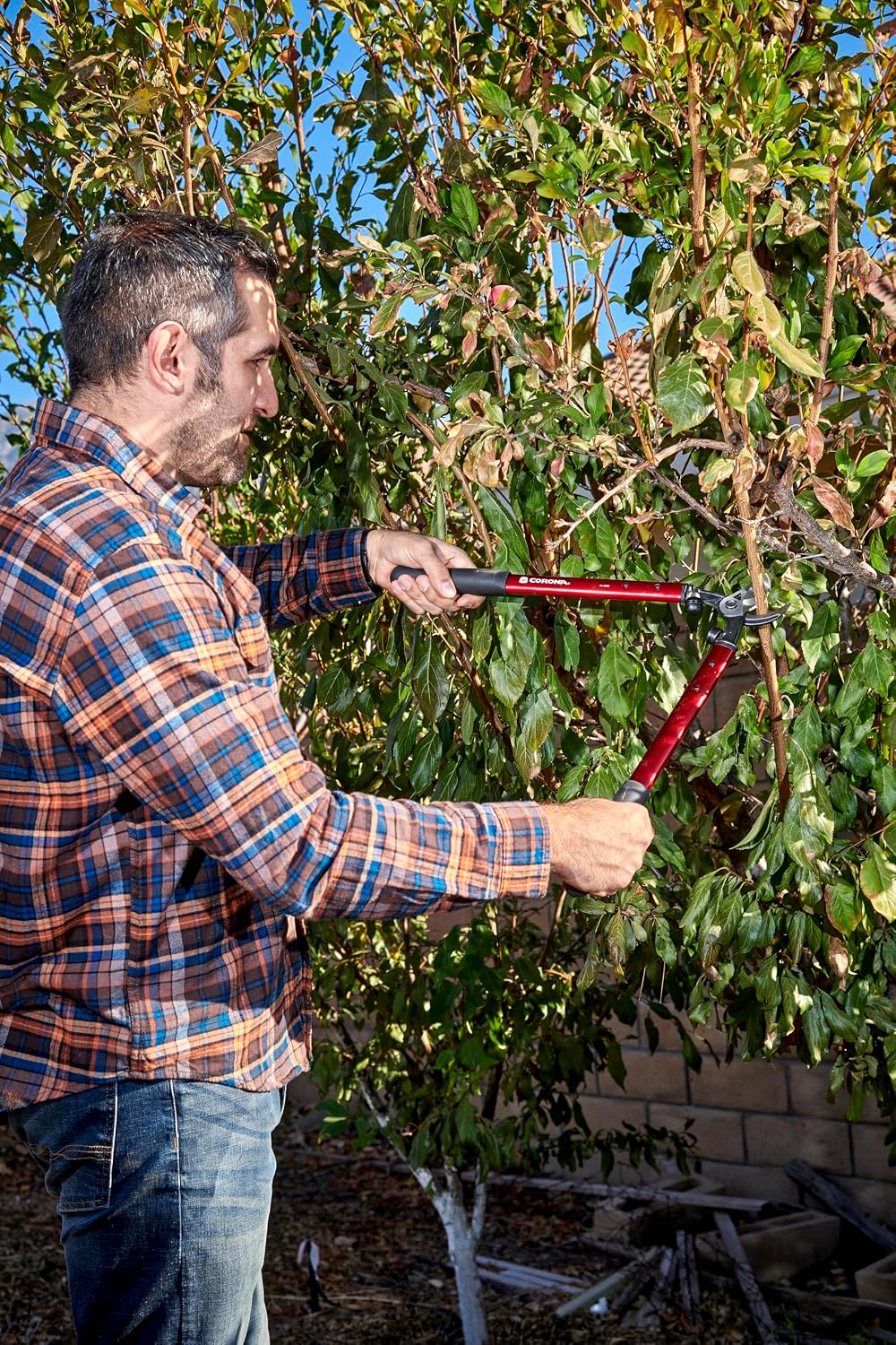 Corona AL 8321 High-Performance Vine Lopper, 19-Inch, Steel