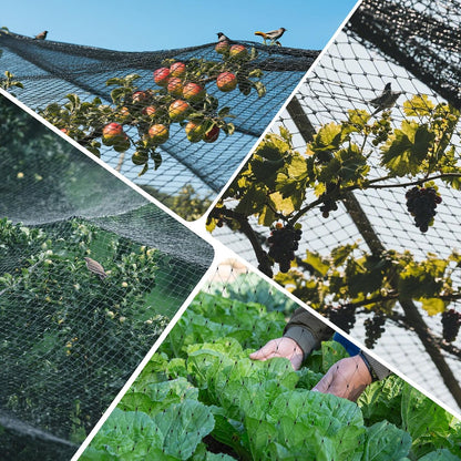33x13 Ft Bird Netting for Garden,1 Inch Mesh Size, White