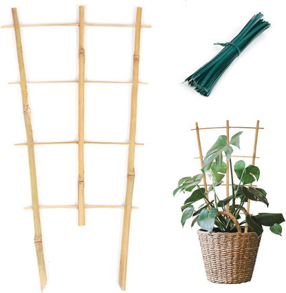 Plant Trellis Indoor, 3 Pack Bamboo Trellises, 16in Fan-Shaped Trellis for Potted Plants Climbing Plants Hoya Vine Ivy