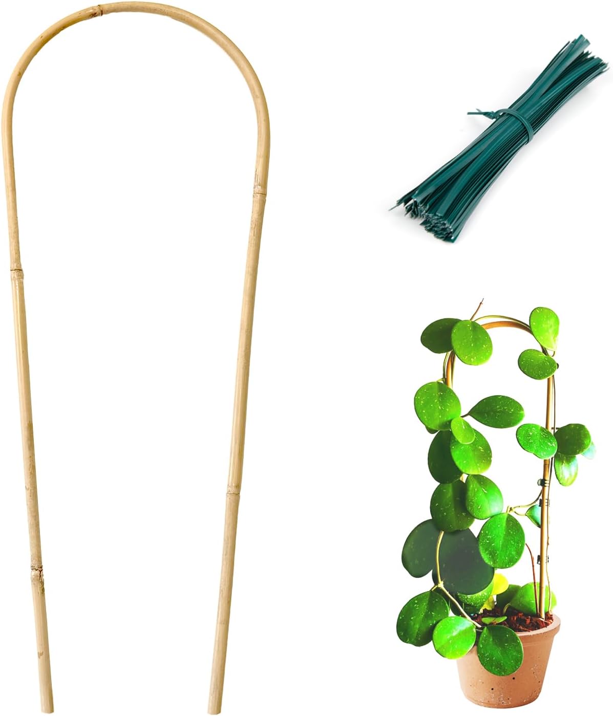 Plant Trellis Indoor, 3 Pack Bamboo Trellises, 16in Fan-Shaped Trellis for Potted Plants Climbing Plants Hoya Vine Ivy