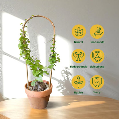 Plant Trellis Indoor, 3 Pack Bamboo Trellises, 16in Fan-Shaped Trellis for Potted Plants Climbing Plants Hoya Vine Ivy