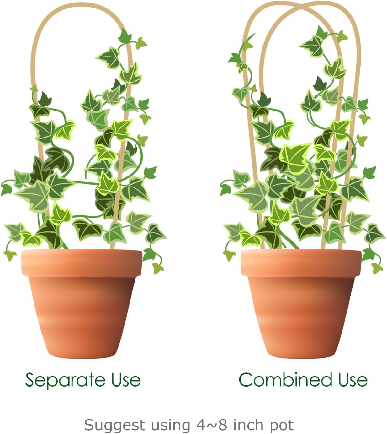 Plant Trellis Indoor, 3 Pack Bamboo Trellises, 16in Fan-Shaped Trellis for Potted Plants Climbing Plants Hoya Vine Ivy